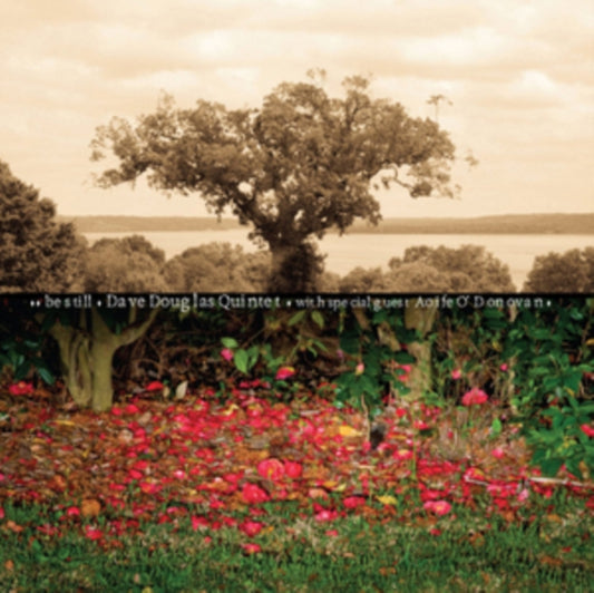 Adrian Klumpes CD - Be Still