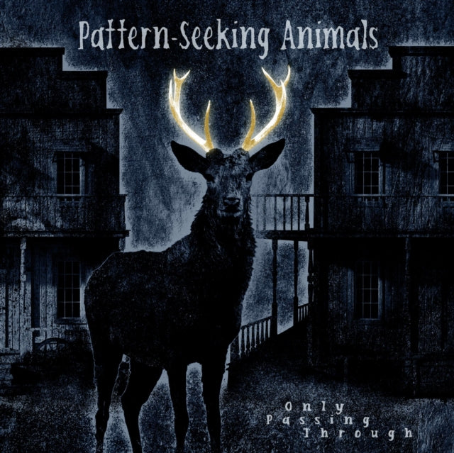 Pattern-Seeking Animals LP - Only Passing Through (Gatefold