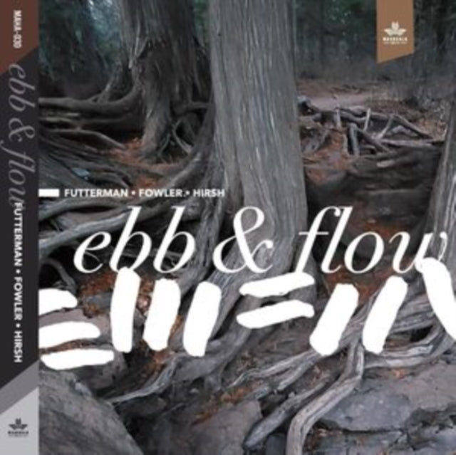 Joel Futterman / Chad Fowler / Steve Hirsh CD - Ebb & Flow