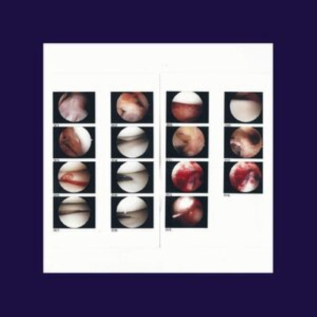 Cradle CD - Laughing In My Sleep