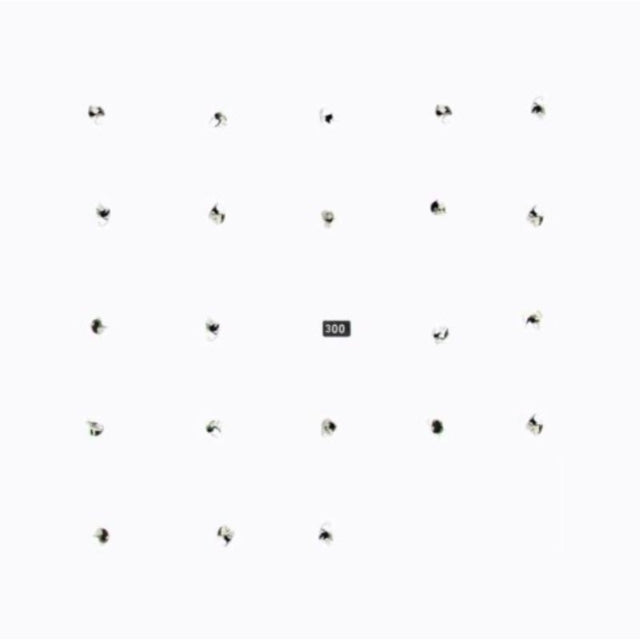 Durian Brothers / Ensemble Skalectrik 12Inch - Split Series #22