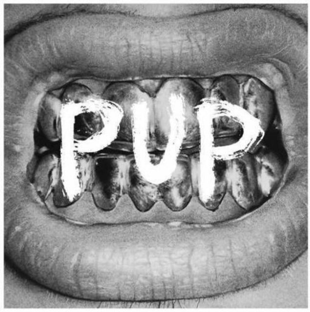 Pup LP - Pup