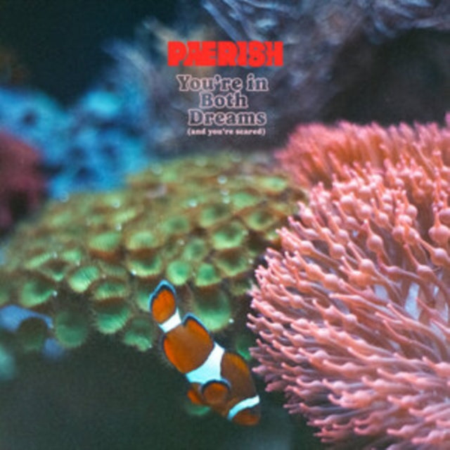 Paerish LP - Youre In Both Dreams (And You