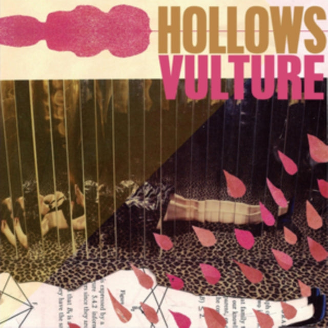 Hollows CD - Vulture