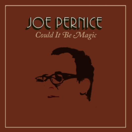 Joe Pernice CD - Could It Be Magic