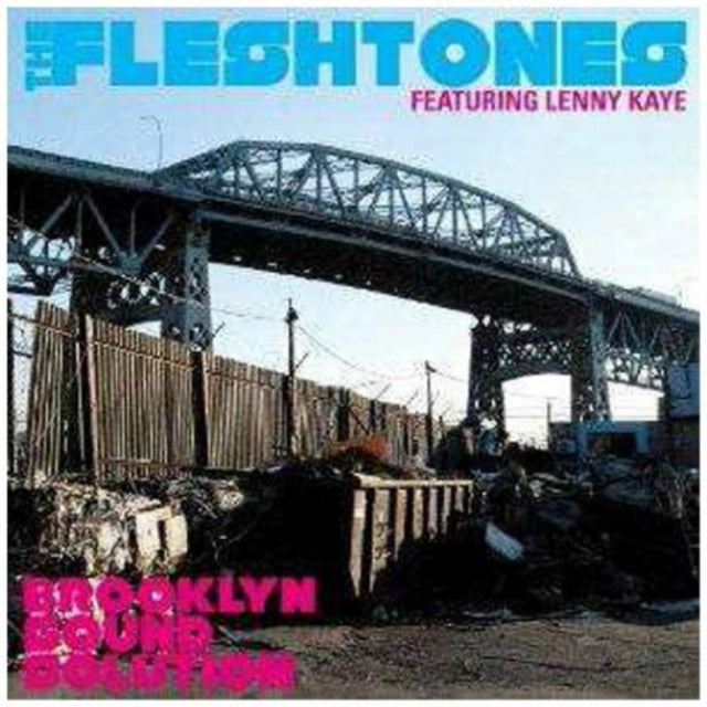 Fleshtones CD - Brooklyn Sound Solution
