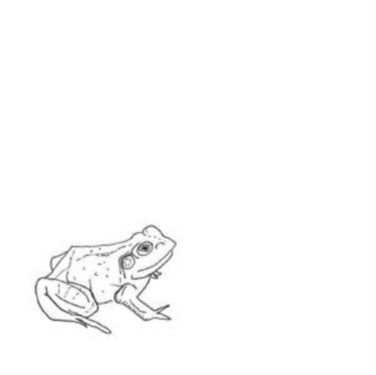 Aoife Odonovan CD - Bull Frogs Croon (And Other Songs)