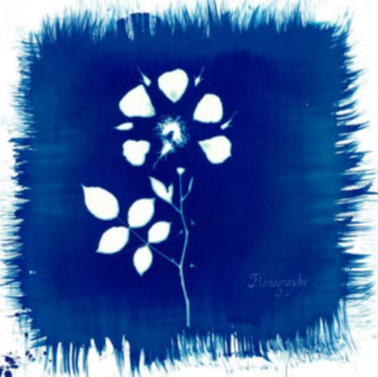Painted Zeros CD - Floriography