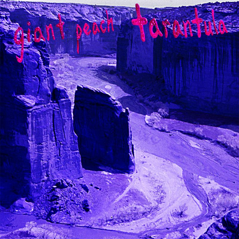 Giant Peach LP - Tarantula
