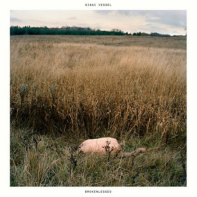 Sinai Vessel CD - Brokenlegged