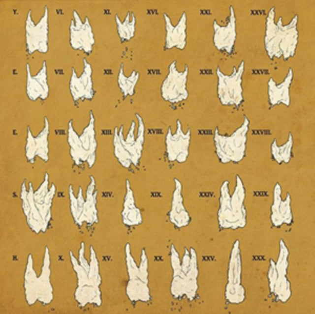 Yeesh LP - Confirmation Bias