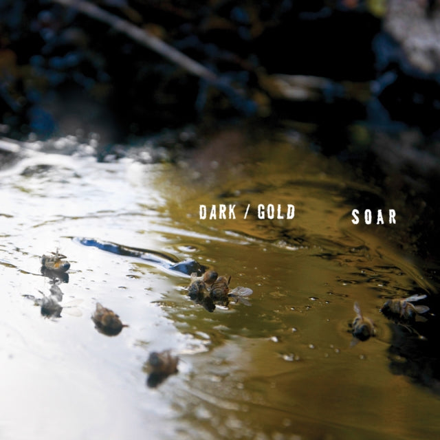 Soar Cassette - Dark/Gold