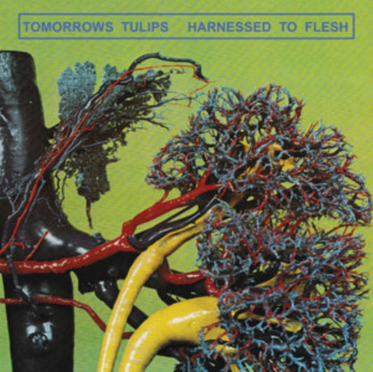 Tomorrows Tulips Cassette - Harnessed To Flesh