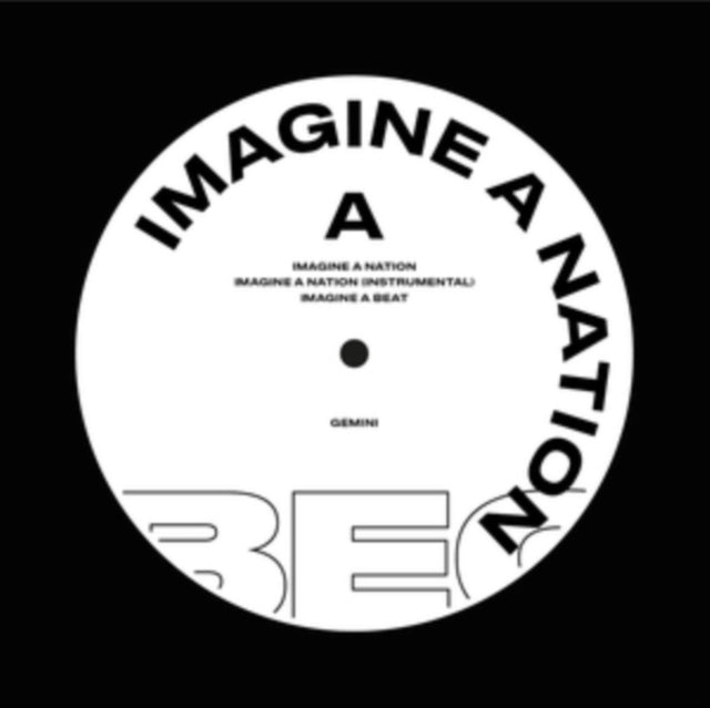 Gemini 12Inch - Imagine A Nation