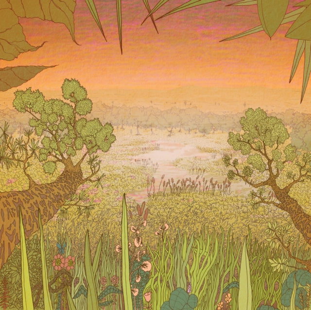 Pine Barons LP - Mirage On The Meadow