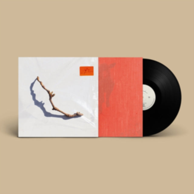 PJ Harvey LP - I Inside The Old Year Dying