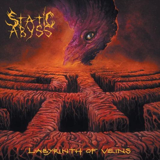 Static Abyss CD - Labyrinth Of Veins