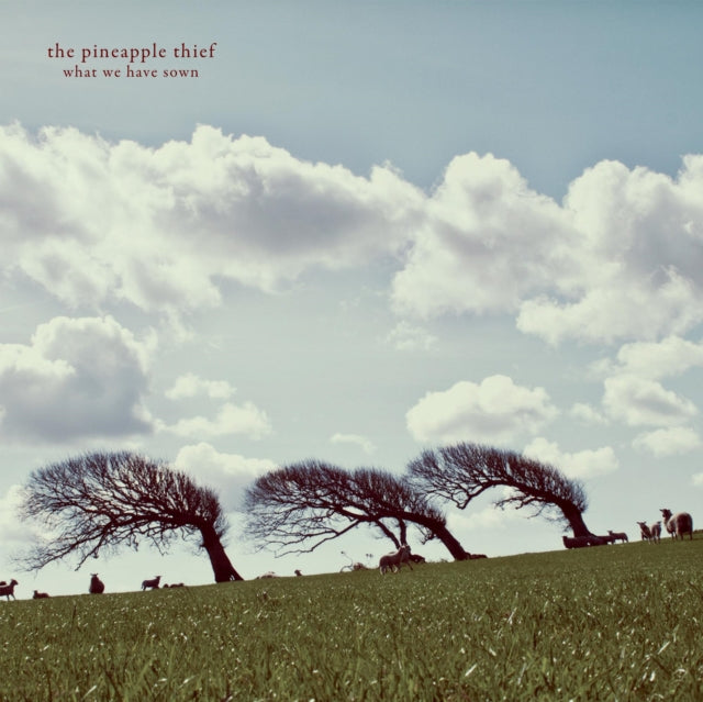 Pineapple Thief The LP - What We Have Sown