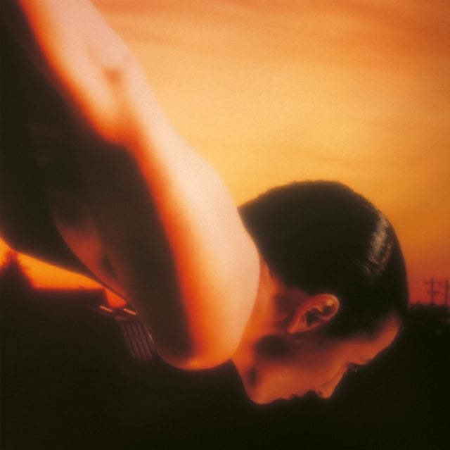 Porcupine Tree LP - On The Sunday Of Life