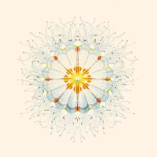 Charlie Charlie LP - Litte Things