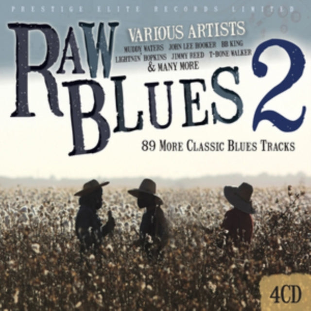 Various Artists CD - Raw Blues Vol. 2