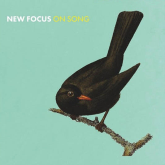 Euan Stevenson & Konrad Wiszniewski CD - New Focus On Song