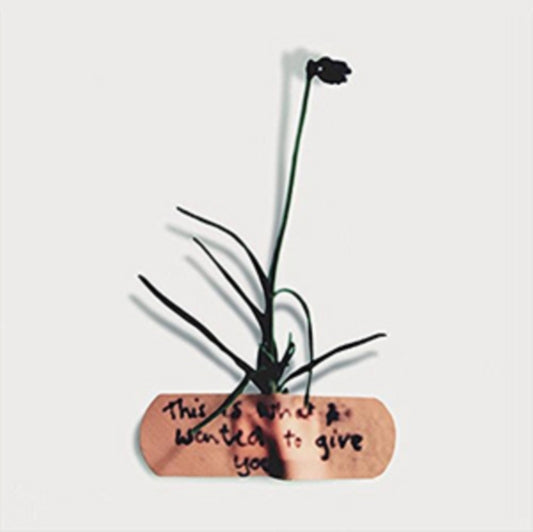 Mckevitt & Noble CD Single - This Is What I Wanted To Give You