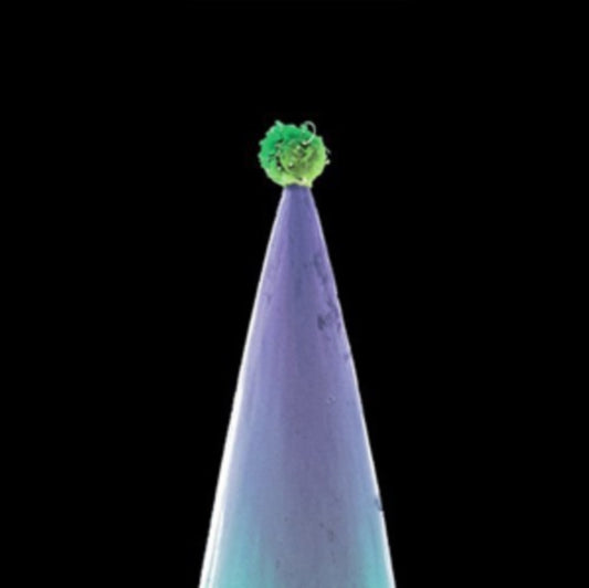 Peter Gabriel CD - New Blood