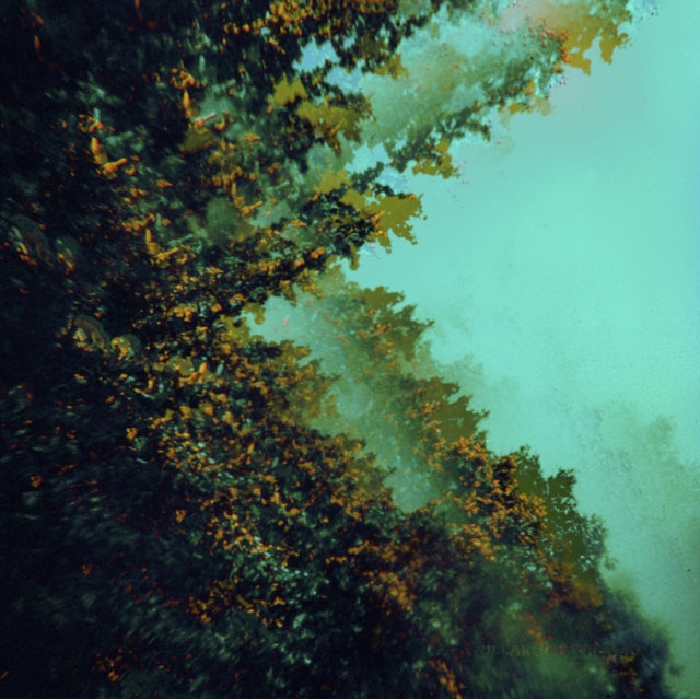 Polymoon LP - Caterpillars Of Creation