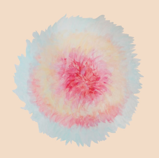 Signe Marie Rustad CD - When Words Flew Freely