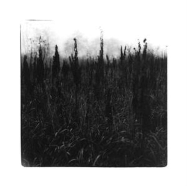 David Bennet & Vilhelm Bromander CD - Within Reach Of Eventuality