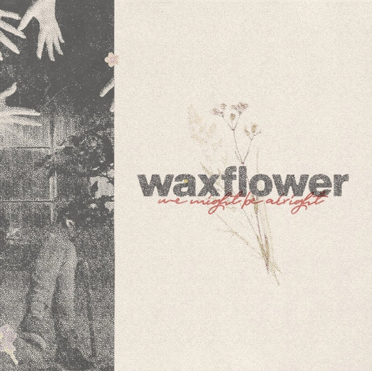 Waxflower CD - We Might Be Alright