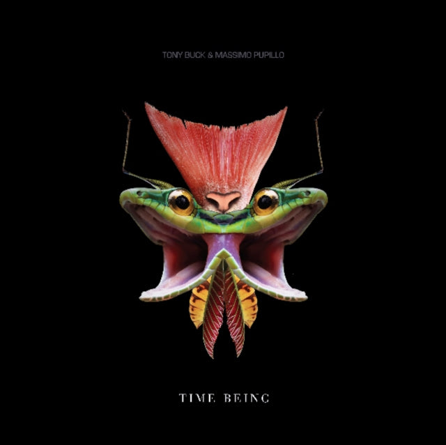 Tony Buck And Massimo Pupillo LP - Time Being