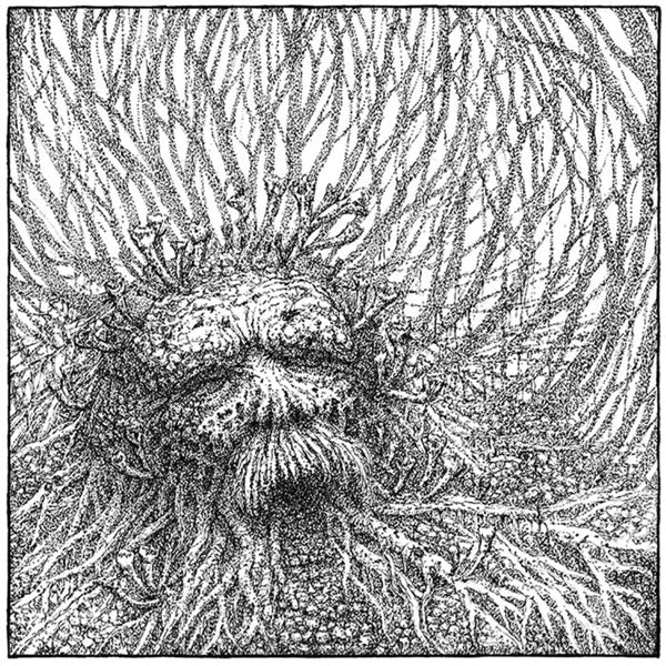 Nemorous LP - Nemorous (White/Black Vinyl) | Buy Now For 50.99