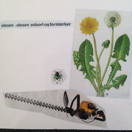 Olesen-Olesen LP - Solsort Og Forstaerker | Buy Now For 47.99