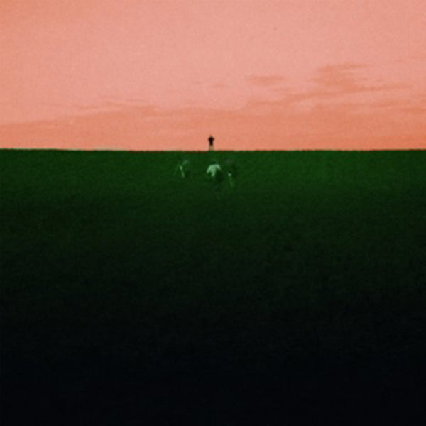 Dust Covered Carpet LP - Witness Me, Pass Out | Buy Now For 29.99