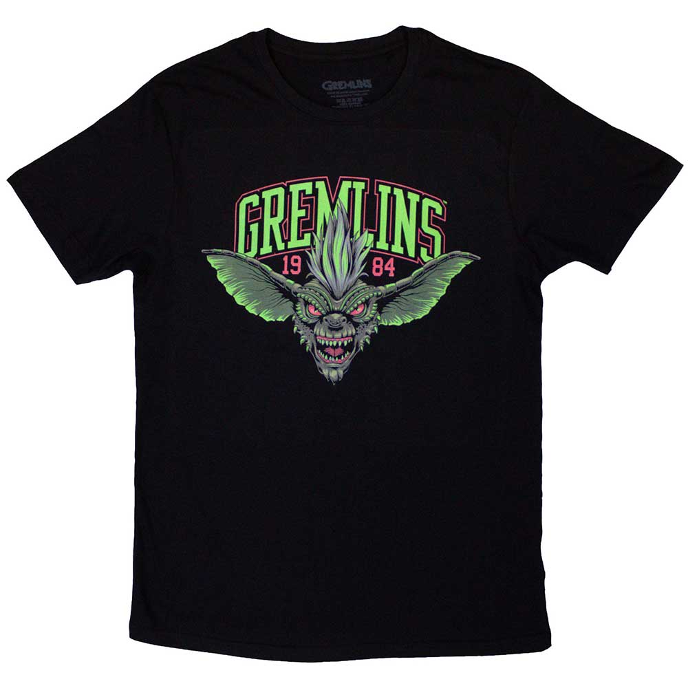Warner Bros T Shirt - Stripe 1984 Green Logo