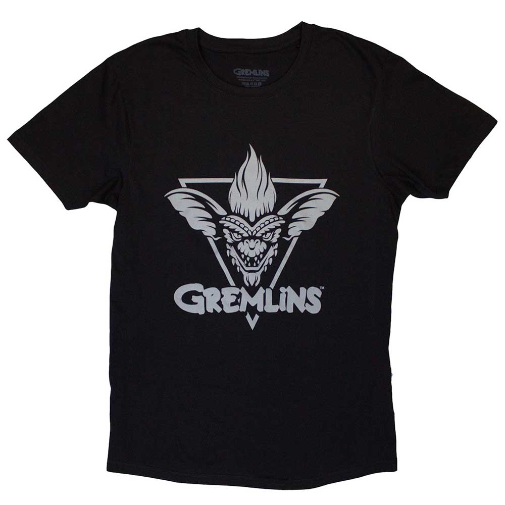 Warner Bros T Shirt - Stripe Triangle