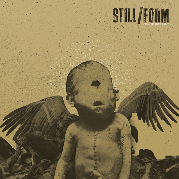 Still/Form LP - From The Rot Is A Gift | Buy Now For 29.99