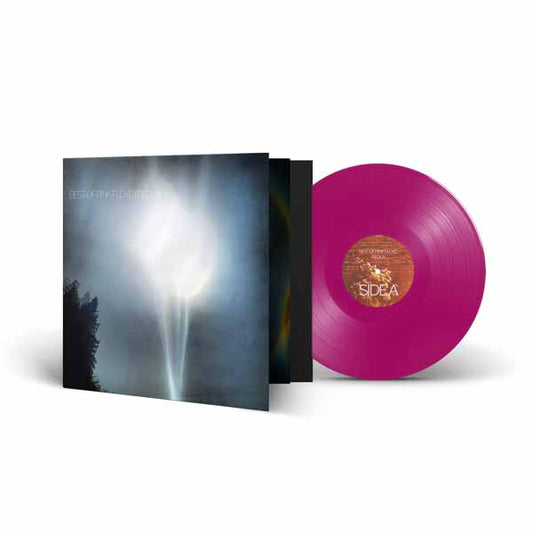 Various Artists LP - Best Of Pink Floyd (Redux) (Solid Purple Vinyl) | Buy Now For 49.99