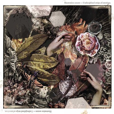Illustration Sonore LP - Undisciplined Strips Of Emotio