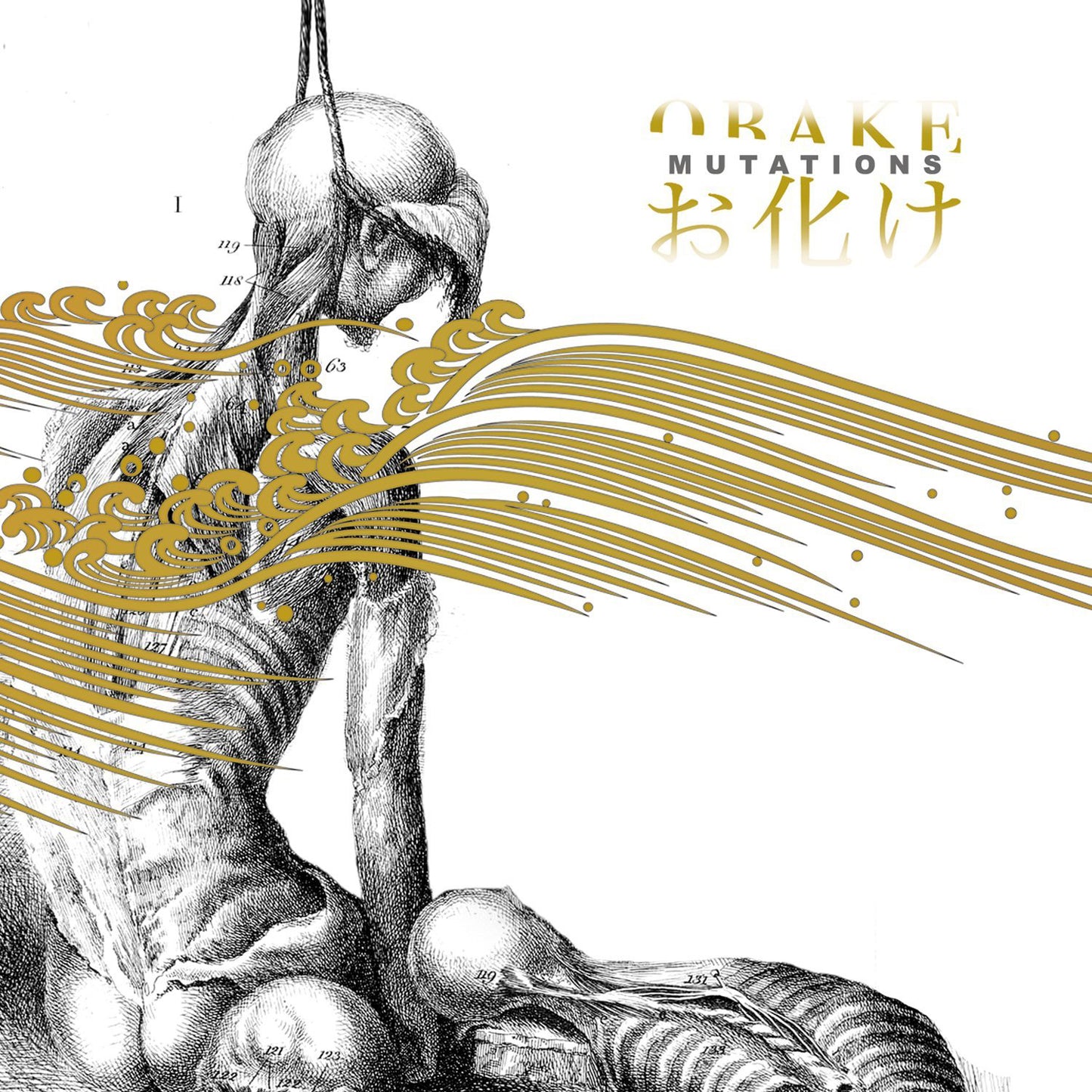 Obake LP - Mutations