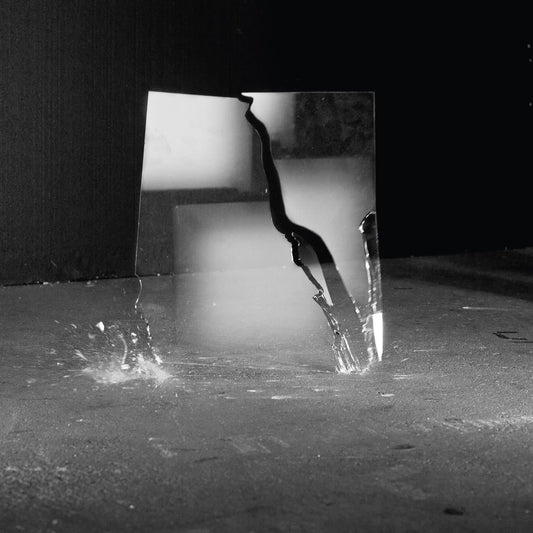 Jan Peter Schwalm LP - The Beauty Of Disaster