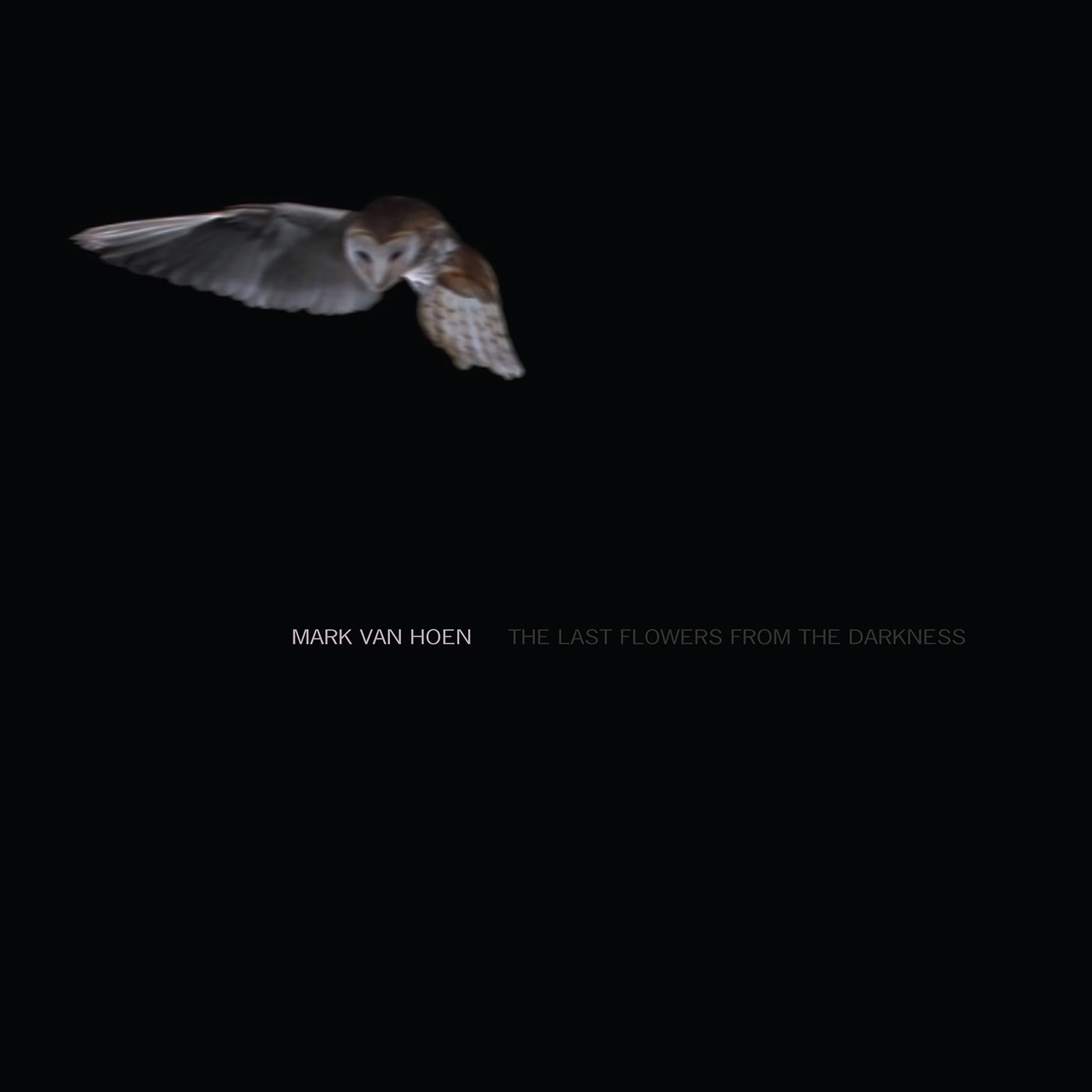 Mark Van Hoen LP - The Last Flowers From T