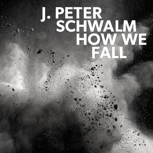 Peter Schwalm LP - How We Fall
