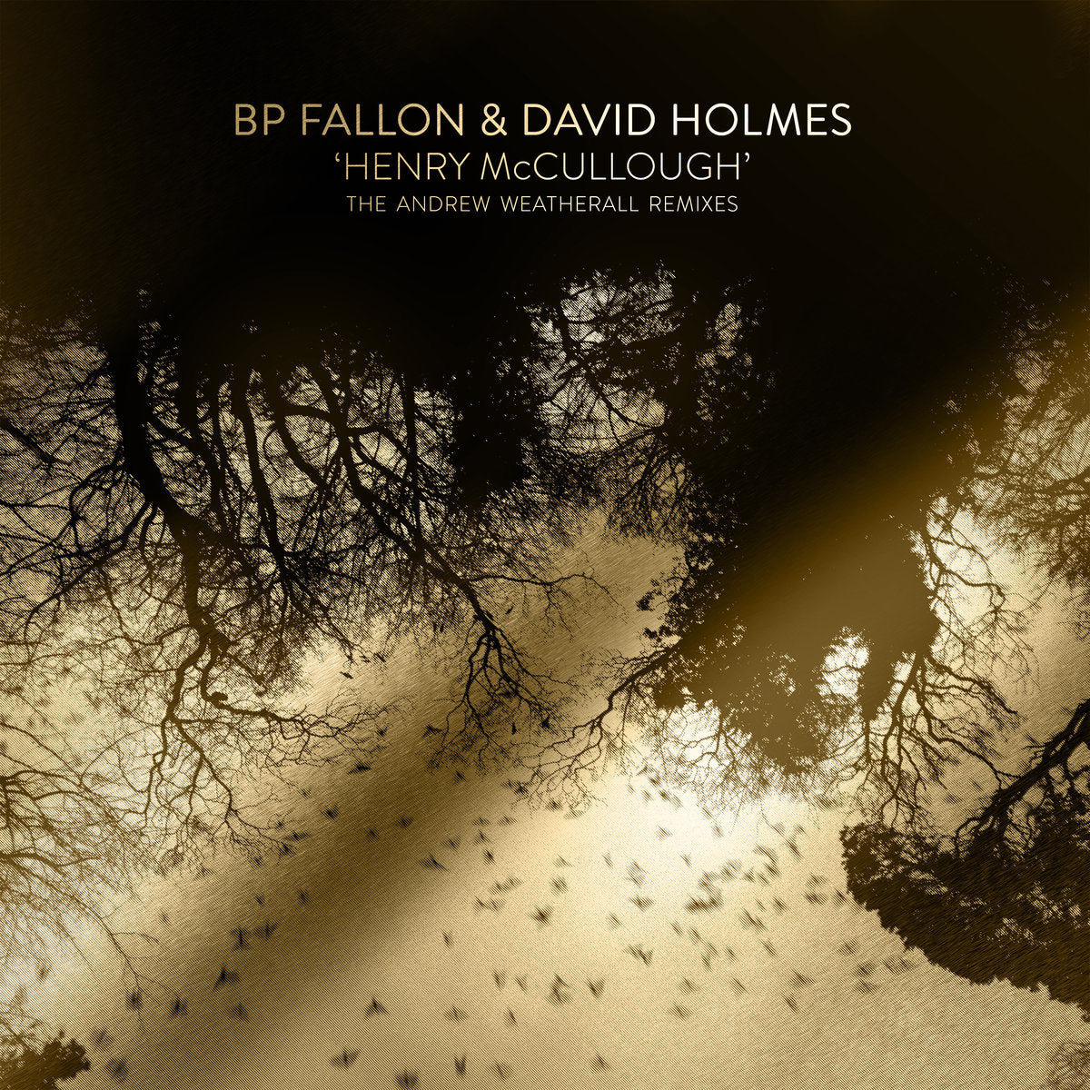 Bp Fallon & David Holmes LP - Henry Mccullough