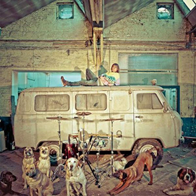 Use LP - Chien Dla Casse