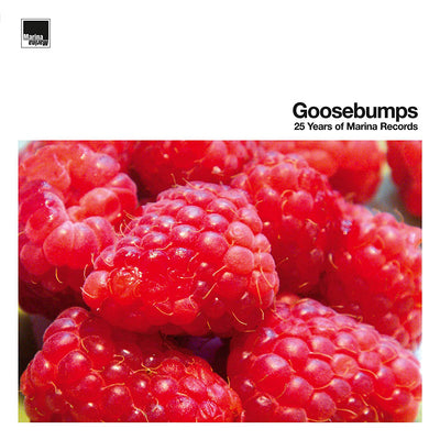 Various Artists LP - Goosebumps - 25 Years Of Marin