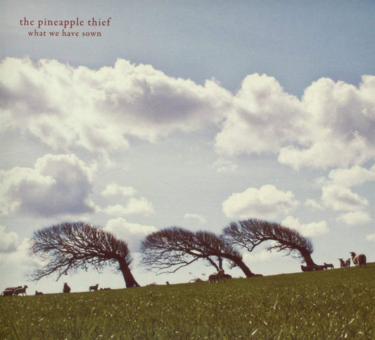 Pineapple Thief The LP - What We Have Sown