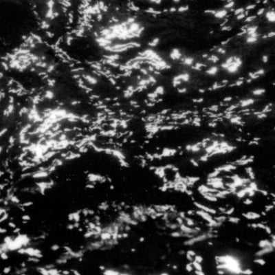 Grouper LP - A I A Dream Loss